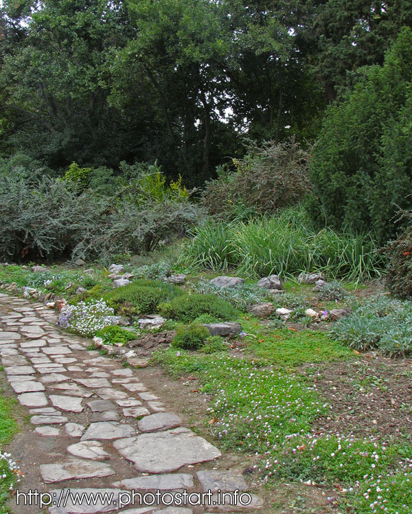 Рокарий Никитского ботанического сада